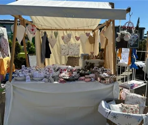 IMG_20250606_143930.jpg IMG_20250604_143228.jpg