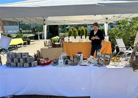 IMG_20240504_114046.jpg IMG_20250604_143331.jpg